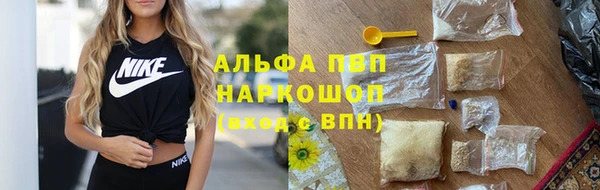 индика Алзамай
