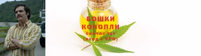 каннабис Алексин