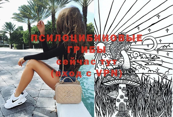 индика Алзамай
