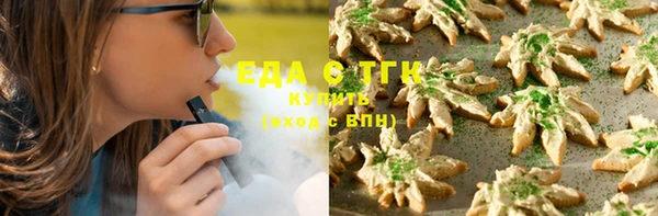 индика Алзамай