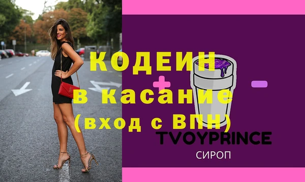 индика Алзамай