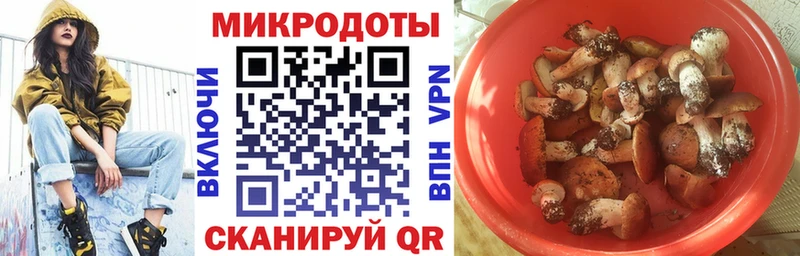 Псилоцибиновые грибы MAGIC MUSHROOMS  где купить наркотик  Белоярский 